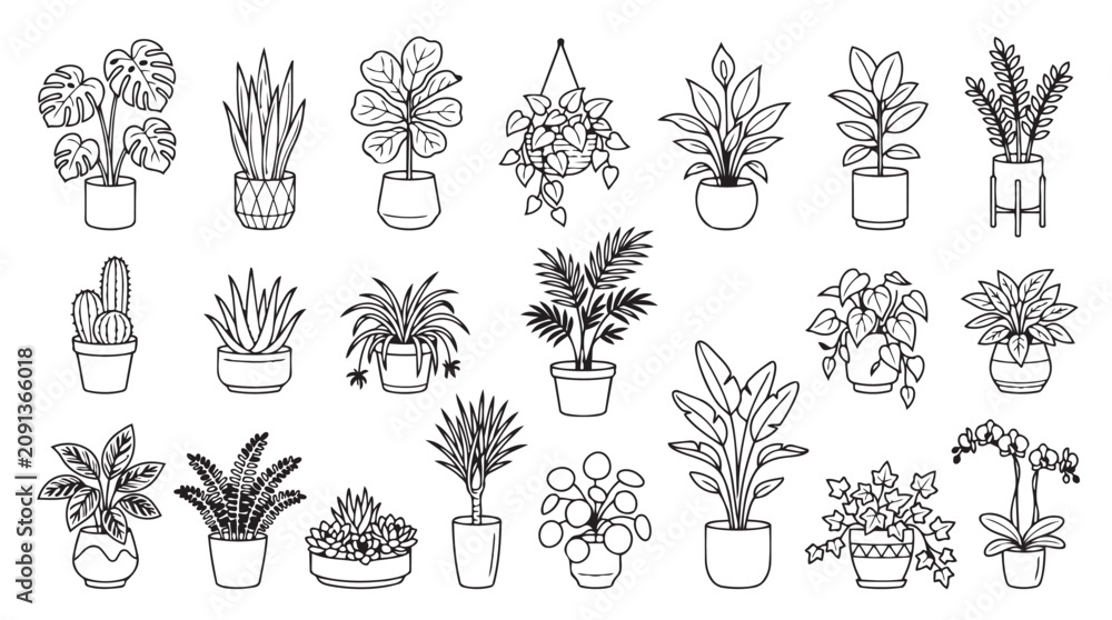 Fototapeta premium Decorative set of potted houseplants and botanical illustrations for home interior design with houseplants