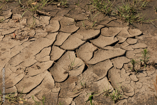 Dry River Bed - Cracked mud lines a dried-up creek bed in drought-stricken Colorado