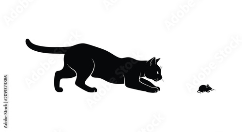 Foto A black cat stalking a mouse depicted as a stark silhouette against a white back