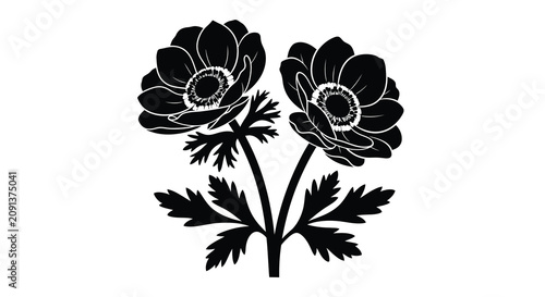 Bild auf Leinwand Two anemone flowers with detailed petals and stems presented as a black silhouet