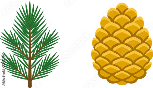 Foto Pine branch and a stylized pine cone isolated on white background