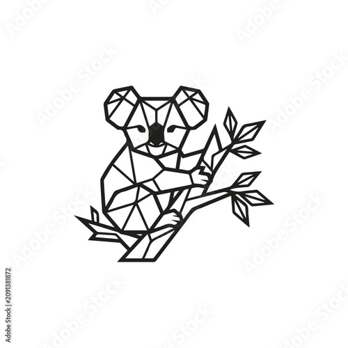 Photography Geometric koala bear sitting on eucalyptus tree branch graphic with geometric