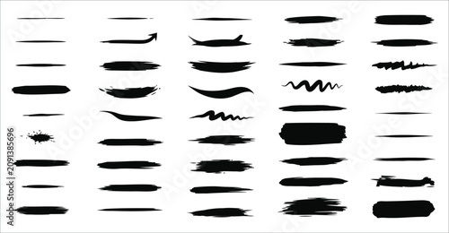 Bild auf Leinwand Set of Insect and Bug Line Art Illustrations in Black and White Outline Style