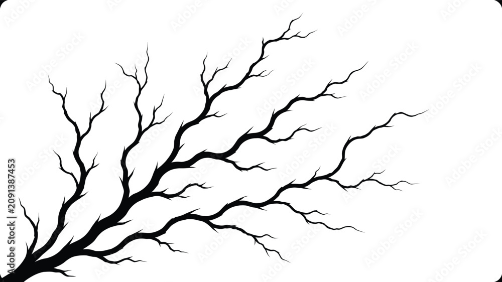 Fototapeta premium Bare tree branch silhouette against a white background