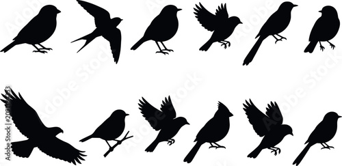 Bird Silhouette Icon Set Featuring Flying And Perched Wild Birds