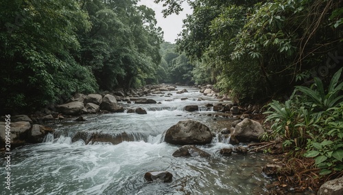 Water Flows Over Rocks in a Forest Stream on a Cloudy Day Near the Mountains