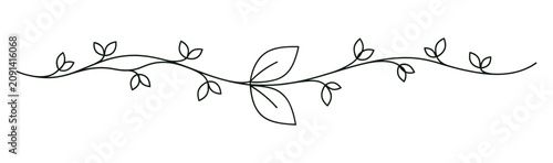 Delicate linear botanical branch with leaves black and white illustration