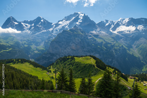 Bild auf Leinwand Summer mountain view near Mürren showing green ridges, forest, and distant snowy summits under blue sky