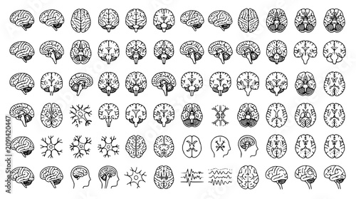 Foto :
Medical Human Brain Outline Icon Collection Editable Neuroscience Anatomy Vect