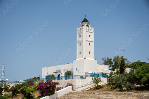 Pink bougainvillea growing around a mosque in Sidi Bou Said, near Tunis, Tunisia