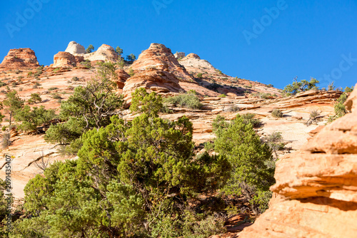 Photography Sandstone formations near Pine Creek Canyon overlook in Zion National Park, Utah
