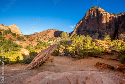 Canvas Print Sandstone formations near Pine Creek Canyon overlook in Zion National Park, Utah