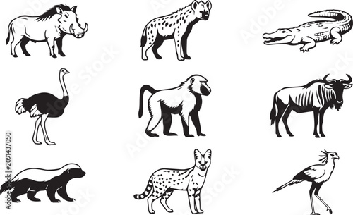 Animal vector nature wild life