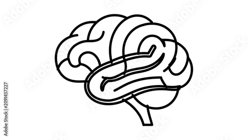 Minimalist brain flat vector line icon with clean strokes for psychology apps, learning platforms, medical content, and cognitive research layouts.