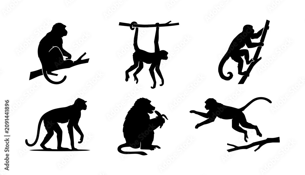 Fototapeta premium Large collection of twenty-four black monkey silhouettes in diverse poses including sitting, hanging, climbing, jumping, and eating, perfect for jungle-themed designs.