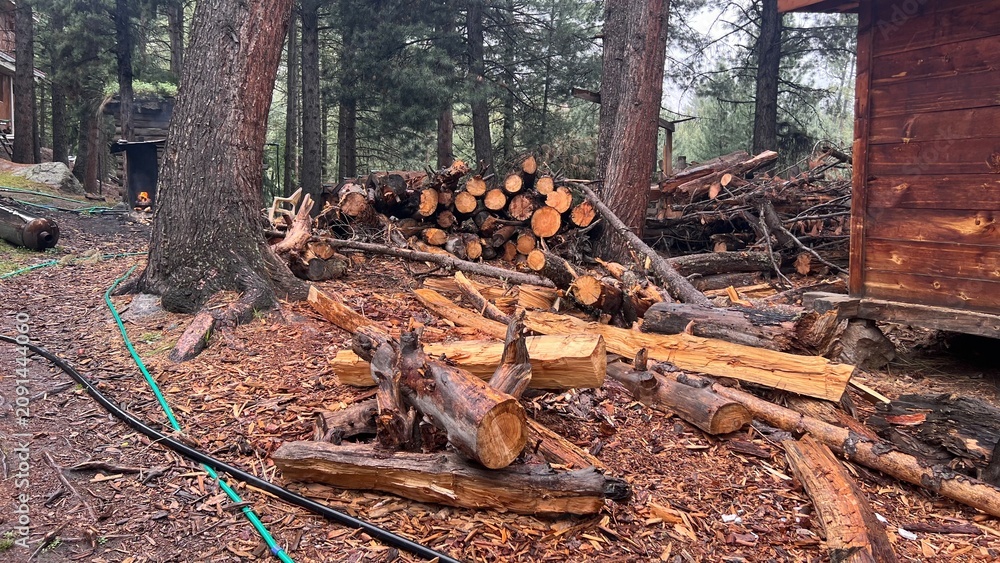 Fototapeta premium Extensive pile of freshly cut wooden logs and scattered timber debris in a rustic forest clearing, illustrating the raw materials of the logging industry and the environmental impact of
