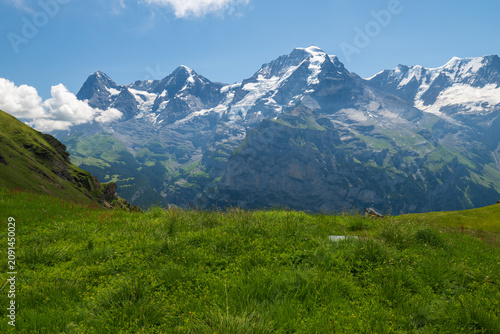 Summer alpine meadow with snowcapped peaks near Mürren, Switzerland under clear blue sky.