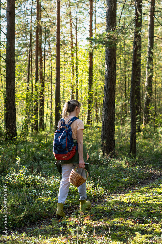 Naklejka premium Gathering edibles in wild forest, active woman forager walking through woodlands with basket searching for food, female explorer picking up mushrooms and berries in woods, organic products hunting.