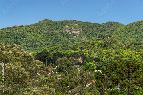 Lush green mountain landscape with araucaria trees and forested hills surrounding a peaceful countryside village under bright summer. in Monte Verde, Camanducaia, Minas gerais - Brazil
