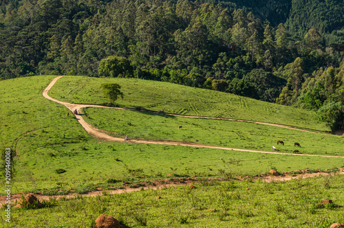 Sunlit pasture with winding dirt roads, grazing horses and off road riders crossing green hills inside Fazenda Off Road under summer afternoon day in Monte Verde, Camanducaia, Minas Gerais - Brazil
