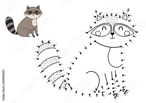 Connect the dots activity page with cute raccoon character. Cute woodland animal dot to dot drawing game for kids. Vector illustration