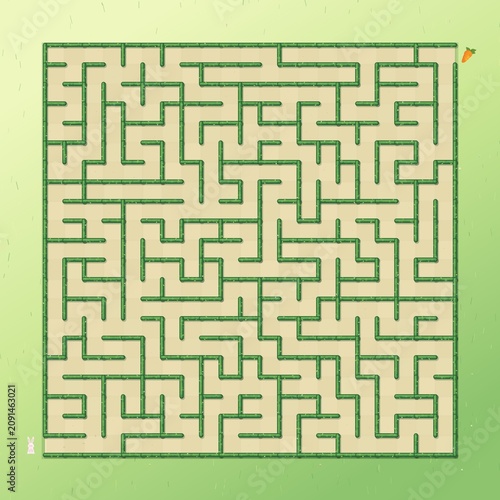 Green Hedge Maze Puzzle With Hidden Carrot