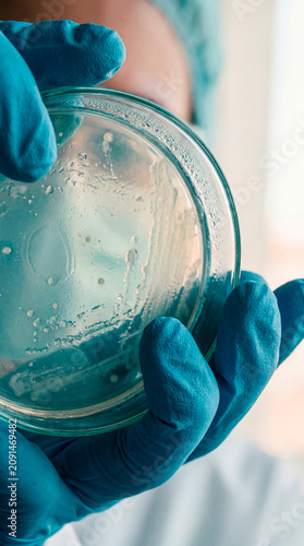 Gloved hand holding a petri dish with a bacterial culture in a laboratory