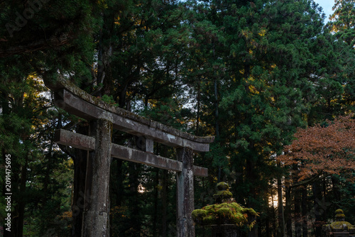 Cuadro en lienzo Ancient Stone Torii Gate in a Cedar Forest at Nikkō Toshogu Shrine, Japan