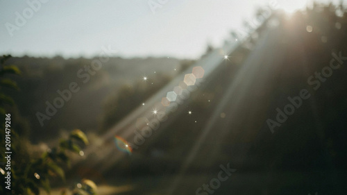 Sunrise Through Tall Grass with Golden Light Rays in Natural Landscape