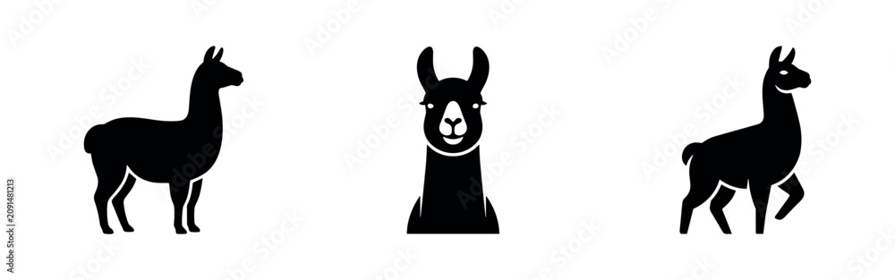 Fototapeta premium Llama icons set. Animal silhouette, portrait, and walking pose.