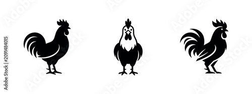 Cuadro en lienzo Rooster Icons Set
