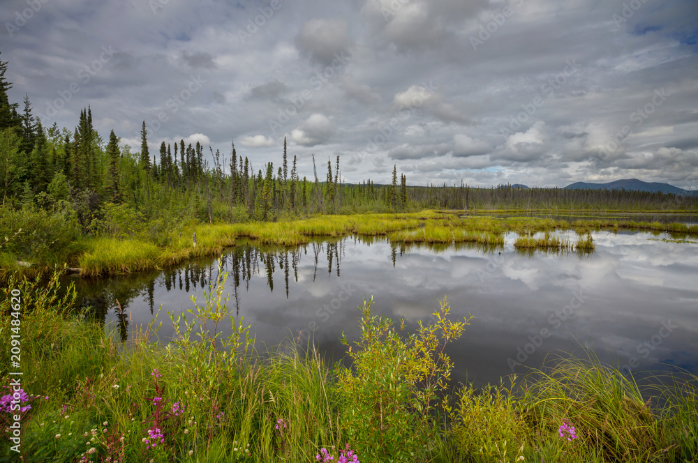 Fototapeta premium Lake in tundra
