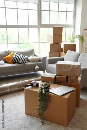 Obraz na płótnie Sofas with cardboard boxes in living room on moving day