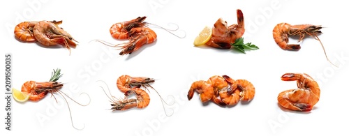 Cooked shrimp and prawns wi...