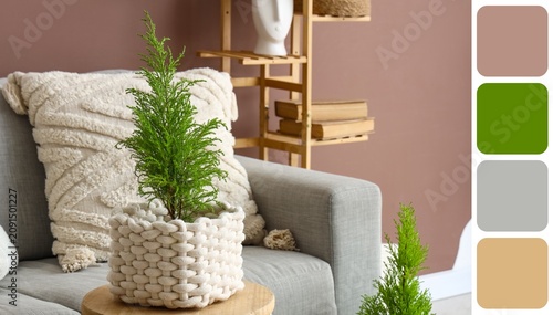 Small green houseplant in a...