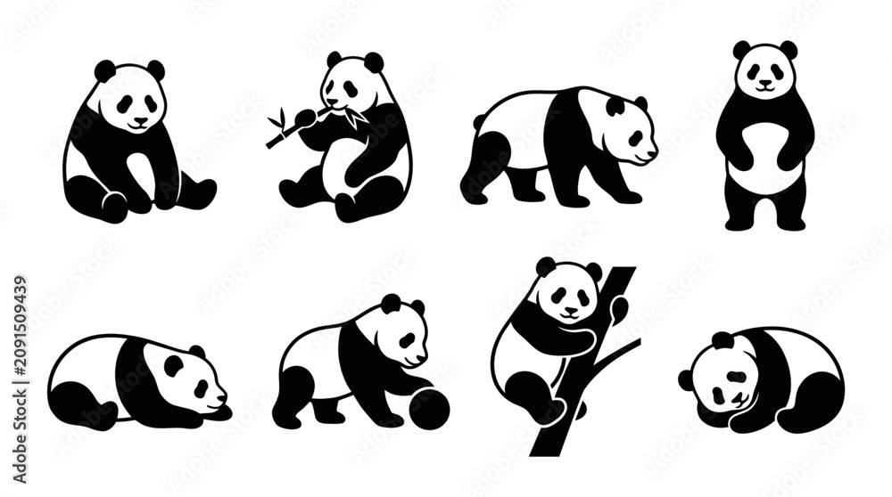 Naklejka premium A set of black and white panda bear illustrations in various poses.