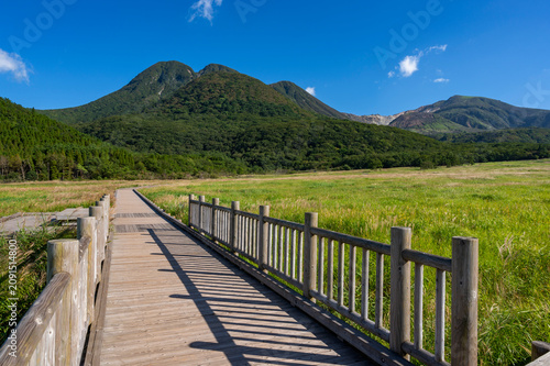 Cuadro en lienzo 大分県　タデ原湿原と九重連山