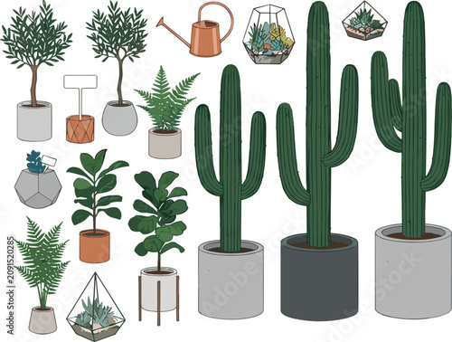 Collection of modern indoor potted plants featuring large cacti fiddle leaf figs ferns and terrariums for interior design projects