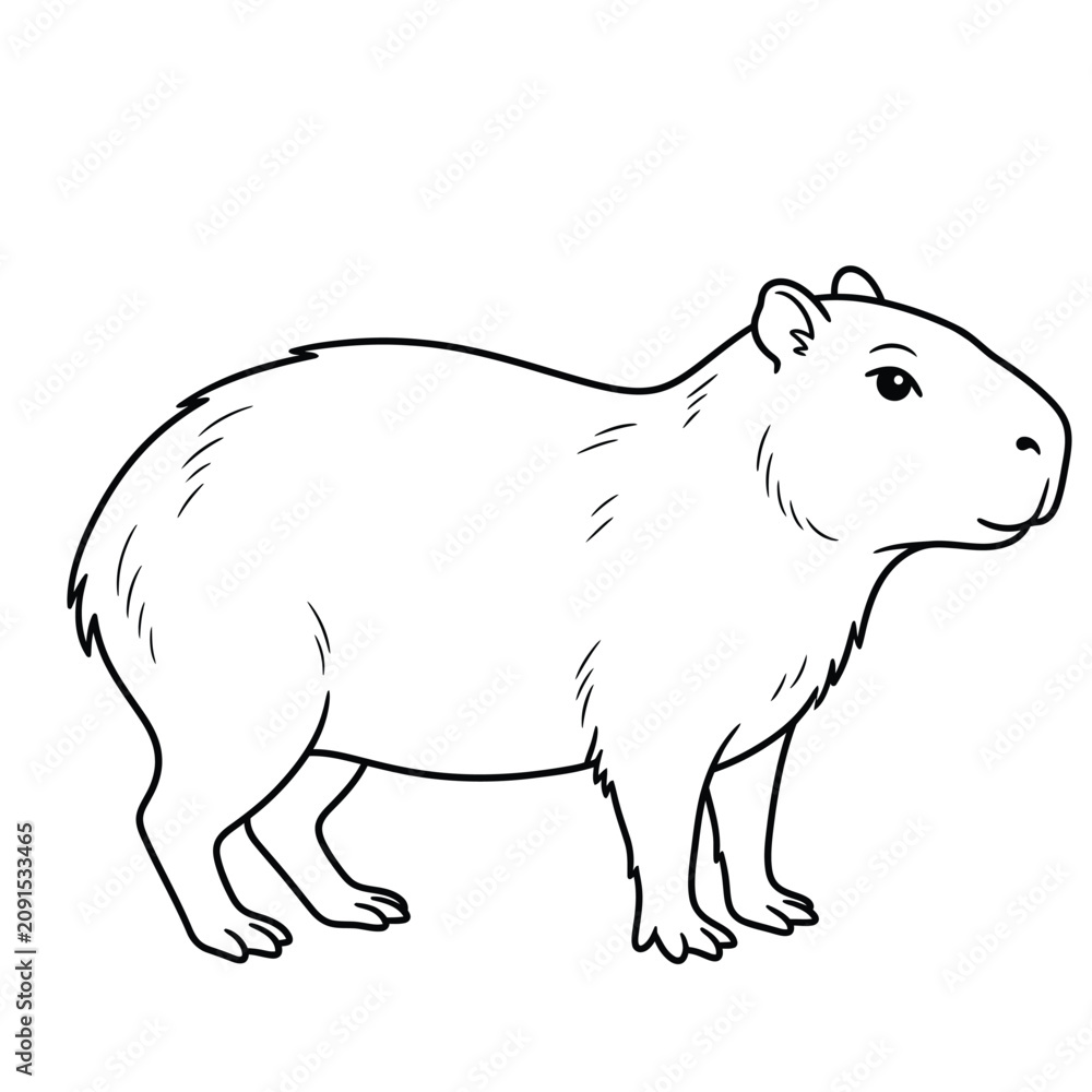 Fototapeta premium capybara line art vector illustration