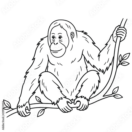 orangutan line art vector illustration