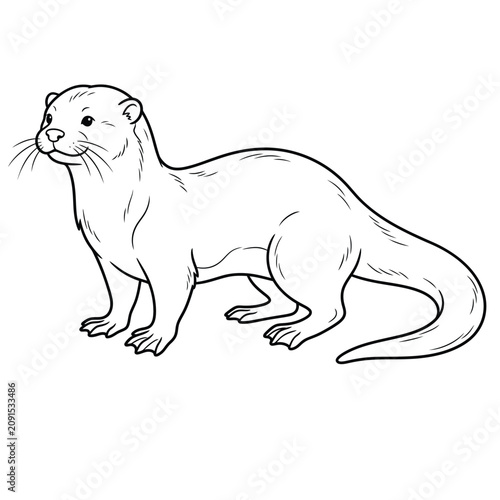 otter line art vector illustration