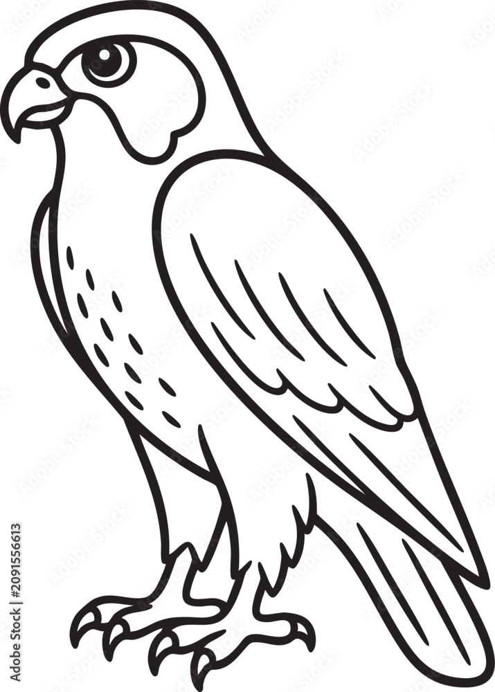 Fototapeta premium Falcon Outline Icon for Bird Wildlife and Nature Design
