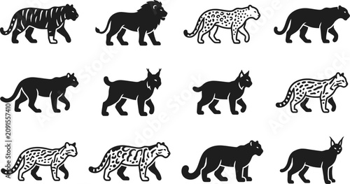 Photography Collection of wild cat silhouettes including tiger lion leopard and lynx