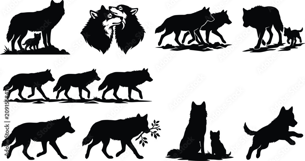 Fototapeta premium Vector collection of wolf silhouettes featuring family groups, protective parents, playful pups, and various walking poses