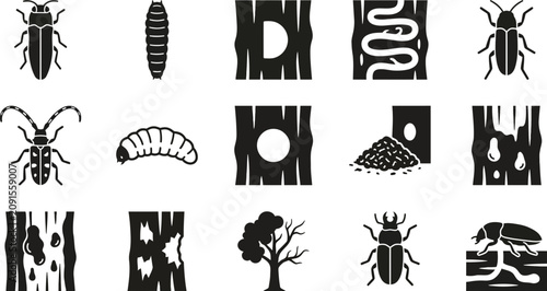Konstfotografi Set of black and white wood boring insect and damage icons.