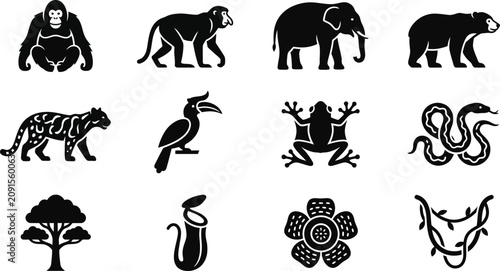 Photography Set of black jungle animal and tropical plant silhouette icons.