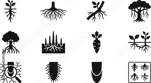 Photos Set of diverse root system icons and plant biology illustrations.
