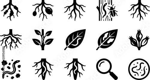 Fotografía Set of black icons representing plant pathology and soil pests.