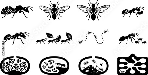 Foto Black silhouette icons of ants and bees in different activities and nest structures
