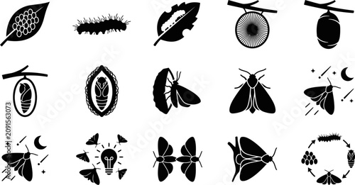 Konstfotografi Set of black and white moth life cycle icons.